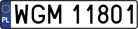 WGM11801