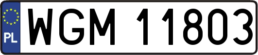 WGM11803