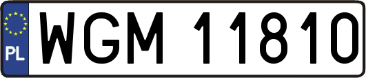 WGM11810