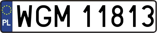 WGM11813