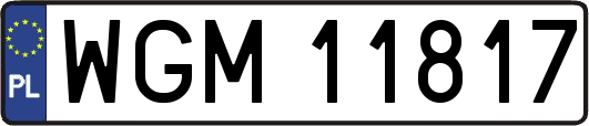 WGM11817