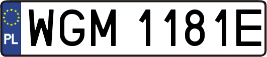 WGM1181E