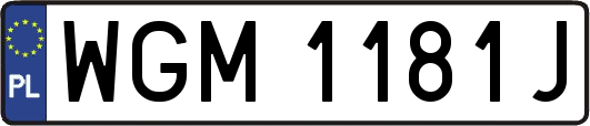 WGM1181J