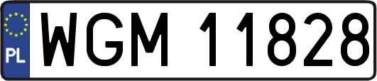 WGM11828