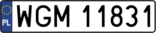 WGM11831
