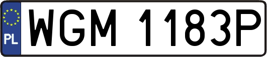 WGM1183P