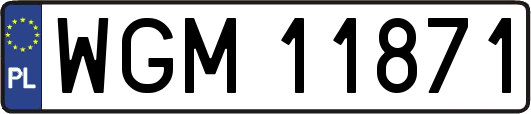 WGM11871