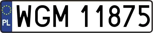 WGM11875