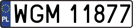 WGM11877