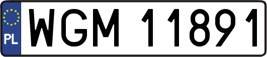 WGM11891