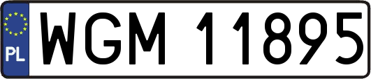 WGM11895
