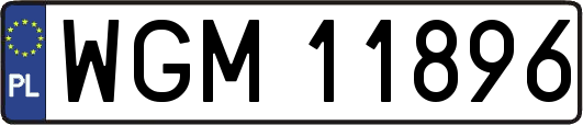 WGM11896