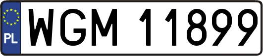 WGM11899