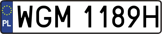 WGM1189H