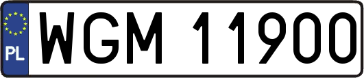 WGM11900