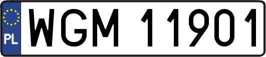 WGM11901