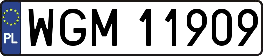WGM11909