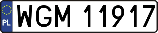 WGM11917