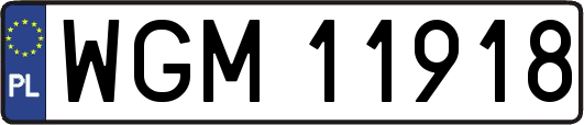 WGM11918