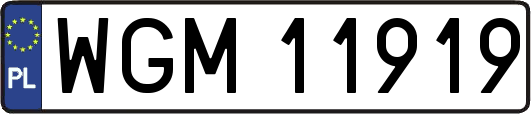 WGM11919