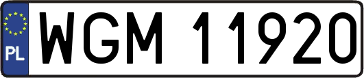 WGM11920