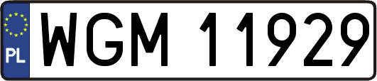 WGM11929