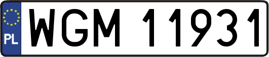 WGM11931
