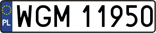 WGM11950