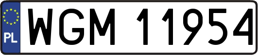 WGM11954
