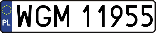 WGM11955