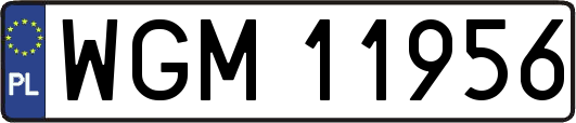 WGM11956