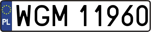 WGM11960