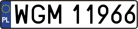 WGM11966