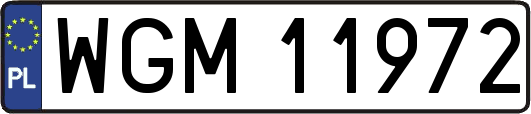 WGM11972