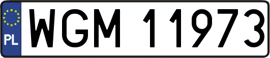 WGM11973