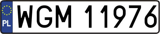 WGM11976
