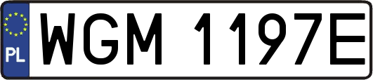 WGM1197E