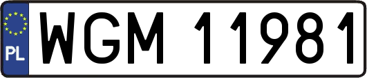 WGM11981