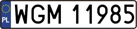 WGM11985