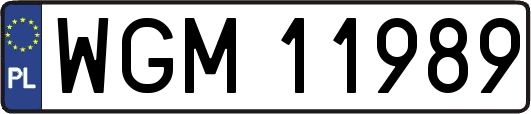 WGM11989