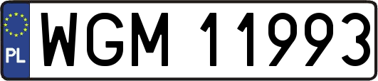 WGM11993