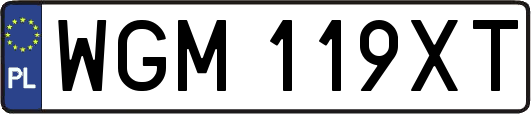 WGM119XT