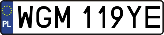 WGM119YE