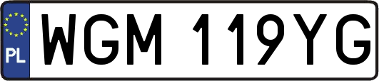 WGM119YG