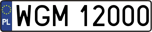 WGM12000