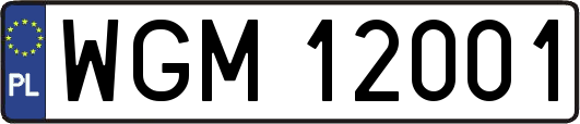 WGM12001