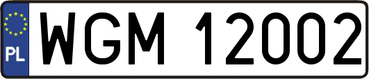 WGM12002