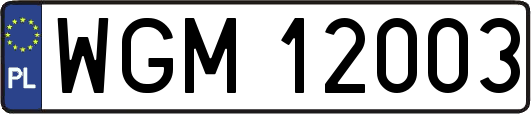 WGM12003