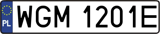 WGM1201E