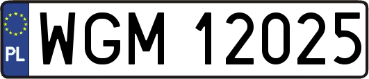 WGM12025